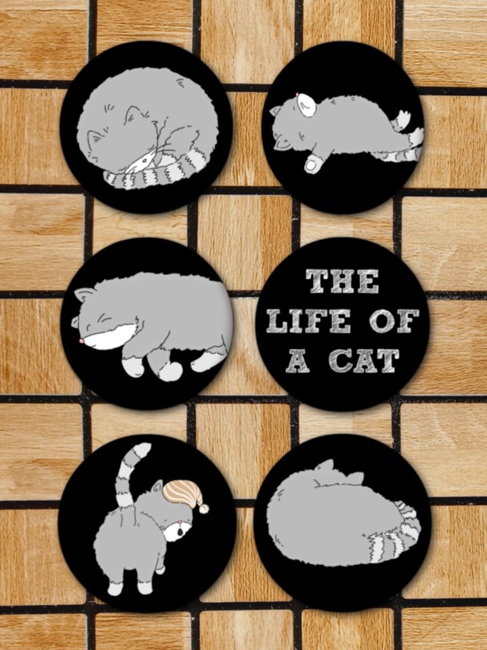 Life Of A Cat Fridge Magnets Set Of 6 Metal Magnets For Home Office Kitchen